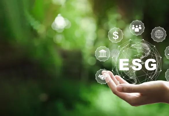 ESG Firmenkundenberatung