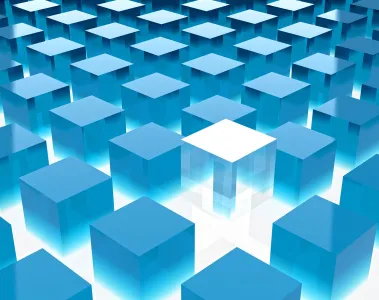 Service Management und IT Management